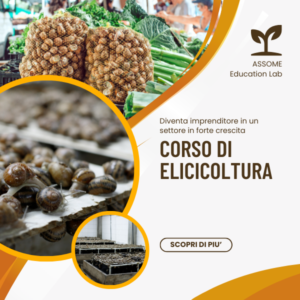 corso elicicultura